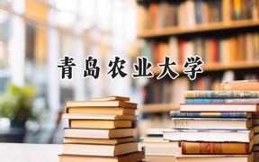 2024青岛农业大学录取分数线：河南最低500分