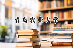 2024青岛农业大学录取分数线：河南最低500分