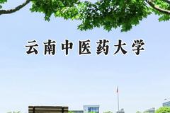 2024云南中医药大学录取分数线：陕西最低465分