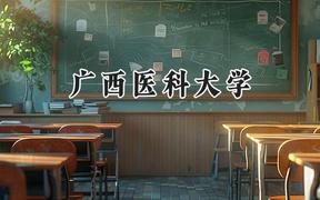 2024广西医科大学录取分数线：云南最低502分