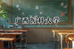 2024广西医科大学录取分数线：云南最低502分