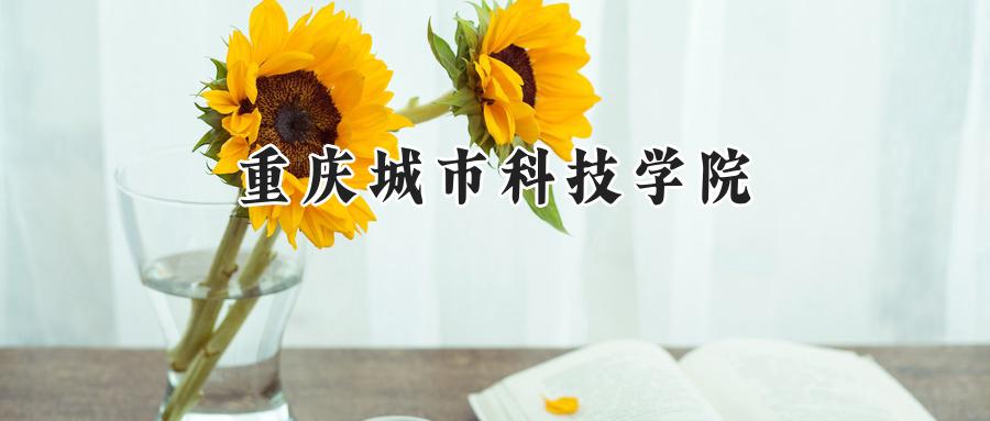 2024重庆城市科技学院录取分数线：陕西最低429分-第1张图片-索考网