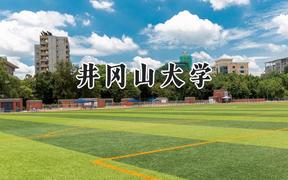 2024井岡山大學(xué)錄取分?jǐn)?shù)線：云南最低483分