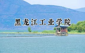 2024黑龙江工业学院录取分数线：云南最低458分