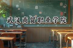 2024武汉商贸职业学院录取分数线：河南最低300分