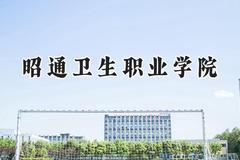 2024昭通卫生职业学院录取分数线：云南最低204分