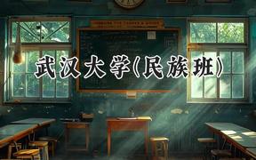 2024武汉大学(民族班)录取分数线：云南最低623分