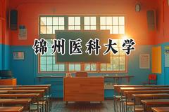2024锦州医科大学录取分数线：云南最低515分