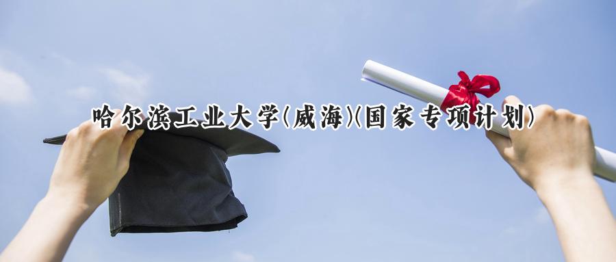 哈尔滨工业大学(威海)(国家专项计划)