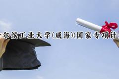 2024哈尔滨工业大学(威海)(国家专项计划)录取分数线：陕西最低605分