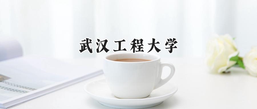 武汉工程大学