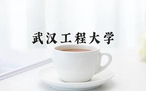 2024武汉工程大学录取分数线：陕西最低517分