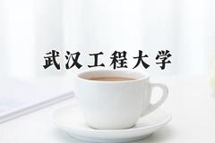 2024武汉工程大学录取分数线：陕西最低517分
