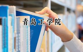 2024青岛工学院录取分数线：云南最低426分