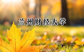 2024兰州财经大学录取分数线：陕西最低463分