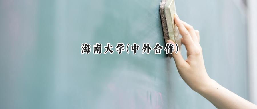 海南大学(中外合作)