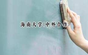 2024海南大学(中外合作)录取分数线：云南最低531分