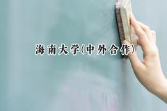 2024海南大学(中外合作)录取分数线：云南最低531分