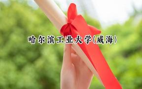 2024哈尔滨工业大学(威海)录取分数线：河南最低603分