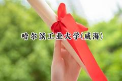 2024哈尔滨工业大学(威海)录取分数线：河南最低603分