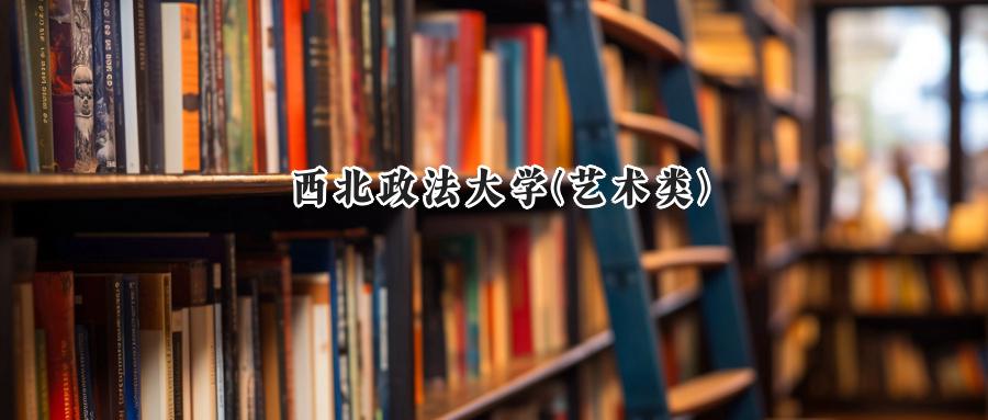 西北政法大学(艺术类)