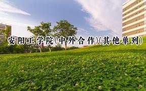 2024安阳工学院(中外合作)(其他单列)录取分数线：河南最低417分
