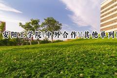 2024安阳工学院(中外合作)(其他单列)录取分数线：河南最低417分