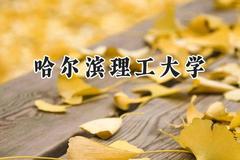 2024哈尔滨理工大学录取分数线：云南最低548分