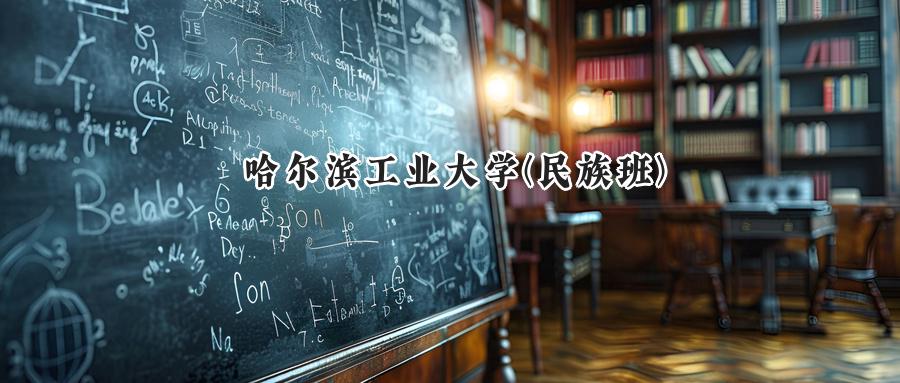 哈尔滨工业大学(民族班)