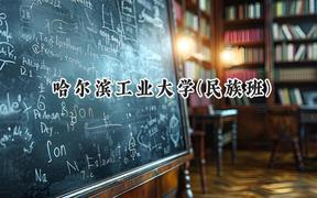 2024哈爾濱工業(yè)大學(xué)(民族班)錄取分?jǐn)?shù)線：云南最低645分
