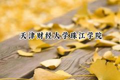 2024天津财经大学珠江学院录取分数线：云南最低426分