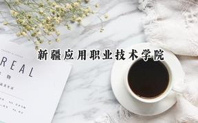 2024新疆应用职业技术学院录取分数线：陕西最低195分