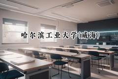 2024哈尔滨工业大学(威海)录取分数线：云南最低600分