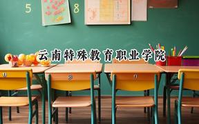 2024云南特殊教育职业学院录取分数线：云南最低203分