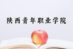 2024陕西青年职业学院录取分数线：河南最低357分