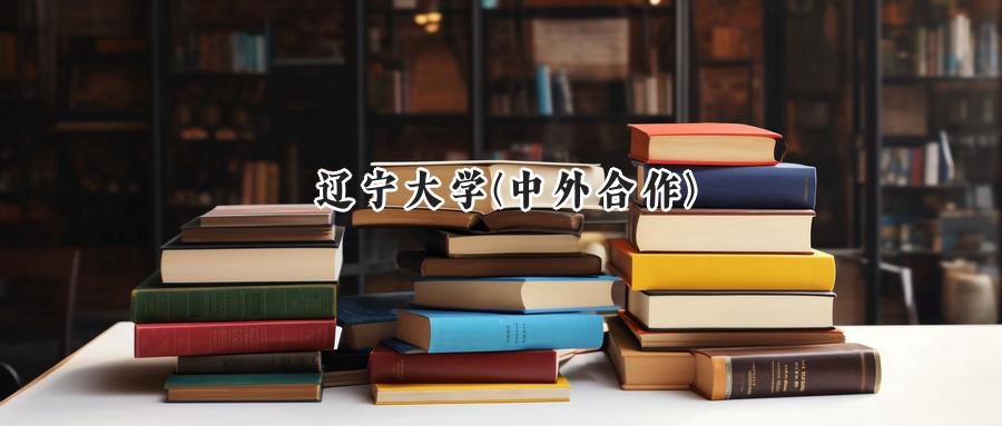 辽宁大学(中外合作)
