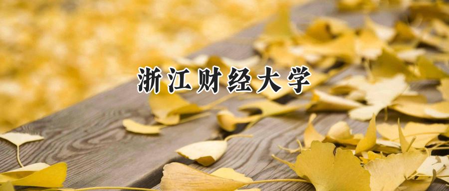 浙江财经大学