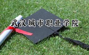 2024武汉城市职业学院录取分数线：云南最低375分