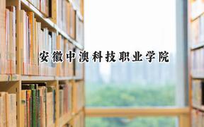 2024安徽中澳科技职业学院录取分数线：河南最低298分