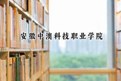 2024安徽中澳科技职业学院录取分数线：河南最低298分