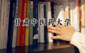 2024甘肃中医药大学录取分数线：陕西最低433分