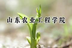 2024山东农业工程学院录取分数线：陕西最低451分