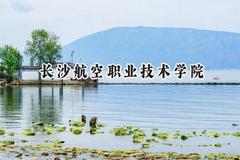 2024长沙航空职业技术学院录取分数线：陕西最低411分