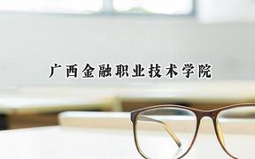 2024广西金融职业技术学院录取分数线：河南最低180分