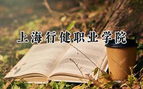 2024上海行健职业学院录取分数线：云南最低390分