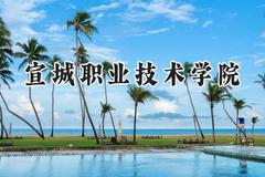 2024宣城职业技术学院录取分数线：河南最低302分