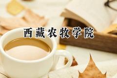2024西藏农牧学院录取分数线：陕西最低437分