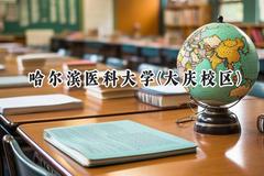2024哈尔滨医科大学(大庆校区)录取分数线：陕西最低497分