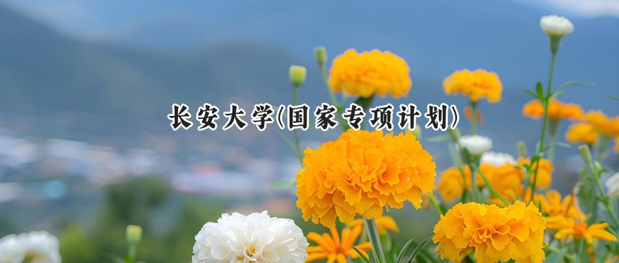 长安大学(国家专项计划)