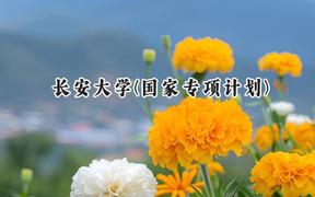 2024长安大学(国家专项计划)录取分数线：陕西最低555分